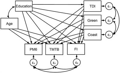 Education is power: preserving cognition in the UK biobank